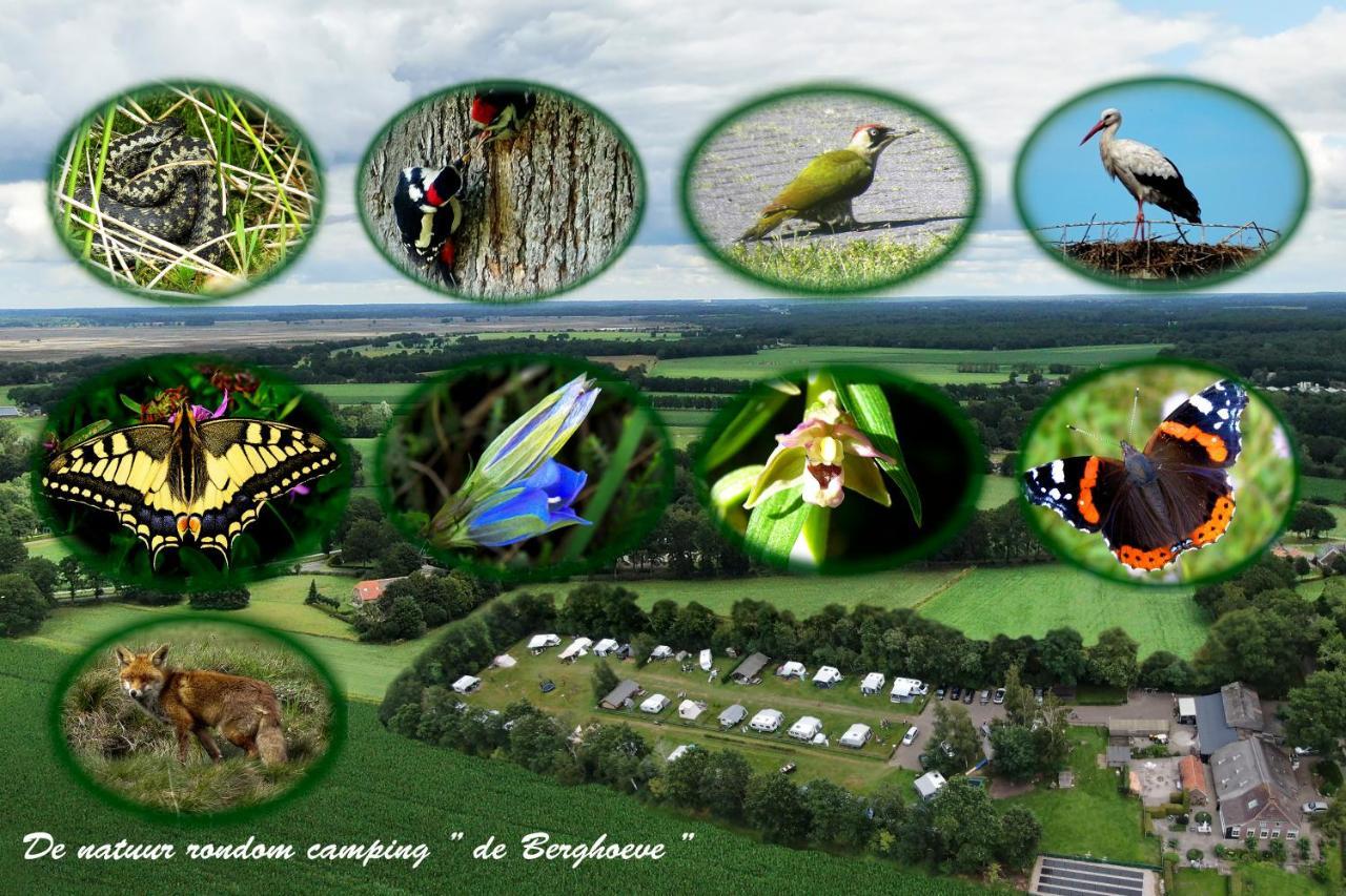 Safaritent De Berghoeve Ruinen Exterior foto