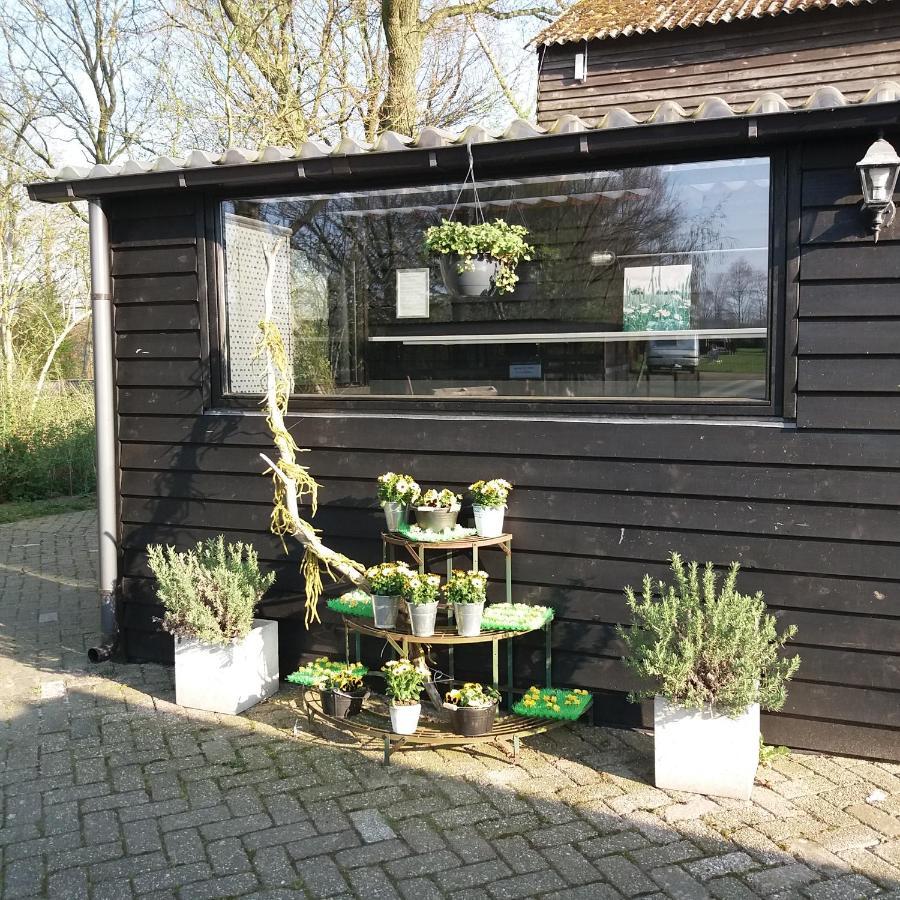 Safaritent De Berghoeve Ruinen Exterior foto